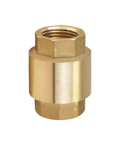 F.450-spring Check Valve-r
